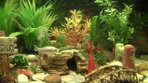 aquarium-ornaments-and-plants